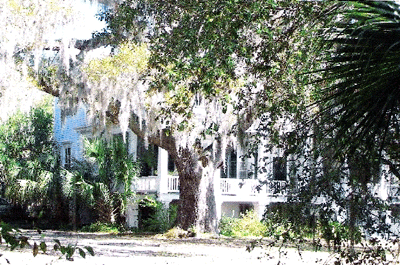 Fripp Plantation