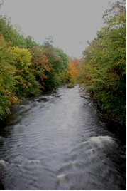 http://massbiophilia.com/images/wareriverfromcoveredbridge.JPG